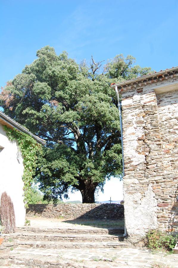 La Vallee De Gaia Saint-Hilaire-de-Lavit Exterior foto